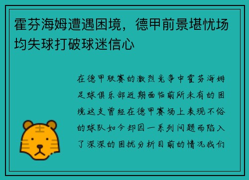 霍芬海姆遭遇困境，德甲前景堪忧场均失球打破球迷信心